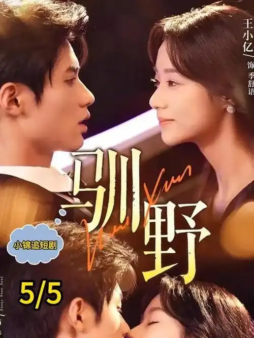 狐狸视频电视剧 梧桐巷十七号 剧照